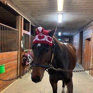 Meet your Posher, Layla